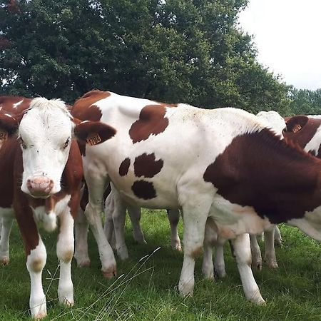 Gite A La Ferme, Avec Animaux, Fromages Et Nature Neuville-les-Decize Luaran gambar